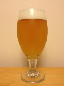 Chinook IPA
