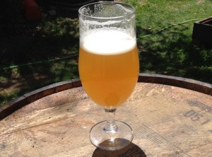 Simcoe / Mosaic Saison