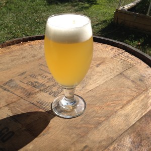 Dupont Yeast Galaxy Saison