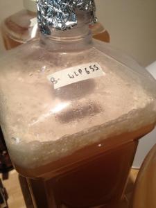 Sour Mix I from White Labs (2.5 Gallon Carboy)