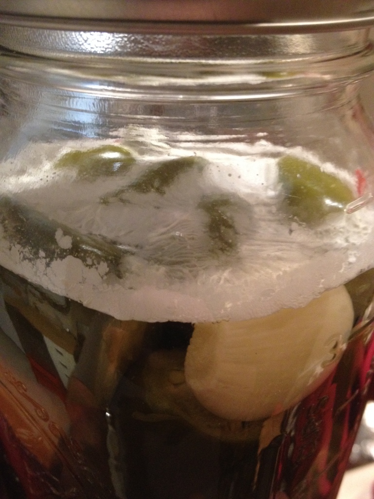 September 23rd, 2014. Pellicle forms on the top of the peppers.