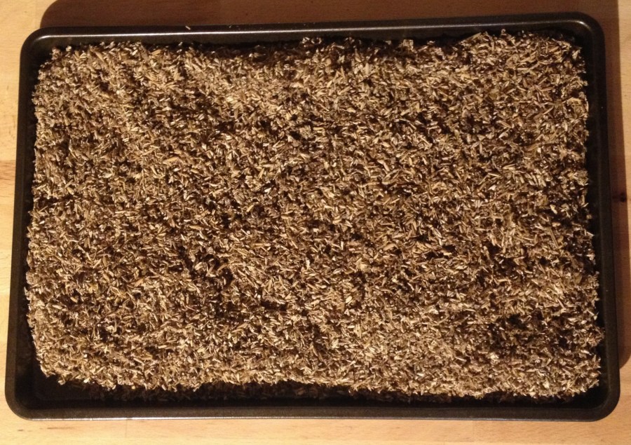 Dried grain in cooking sheet