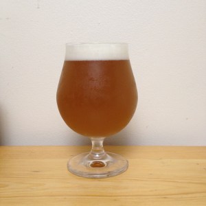 Chinook Belgo Rye Saison