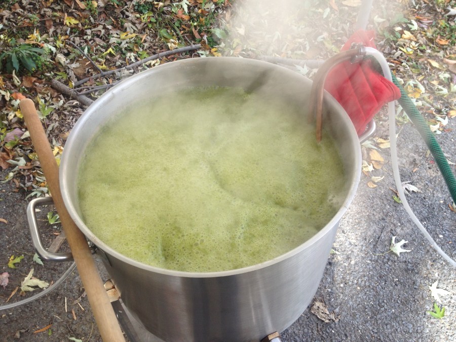 Brewing the wort....it is supposed to be that green, trust me.