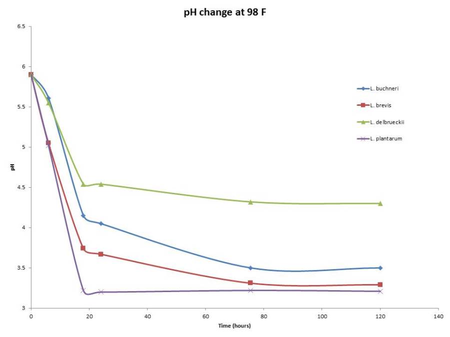 pH changes over time at 98 F