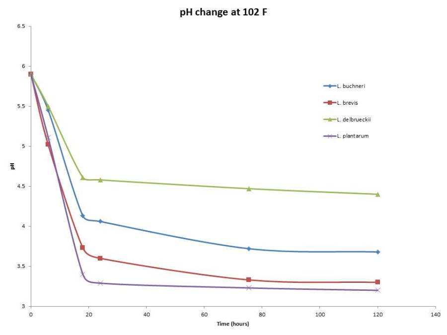 pH changes over time at 102 F